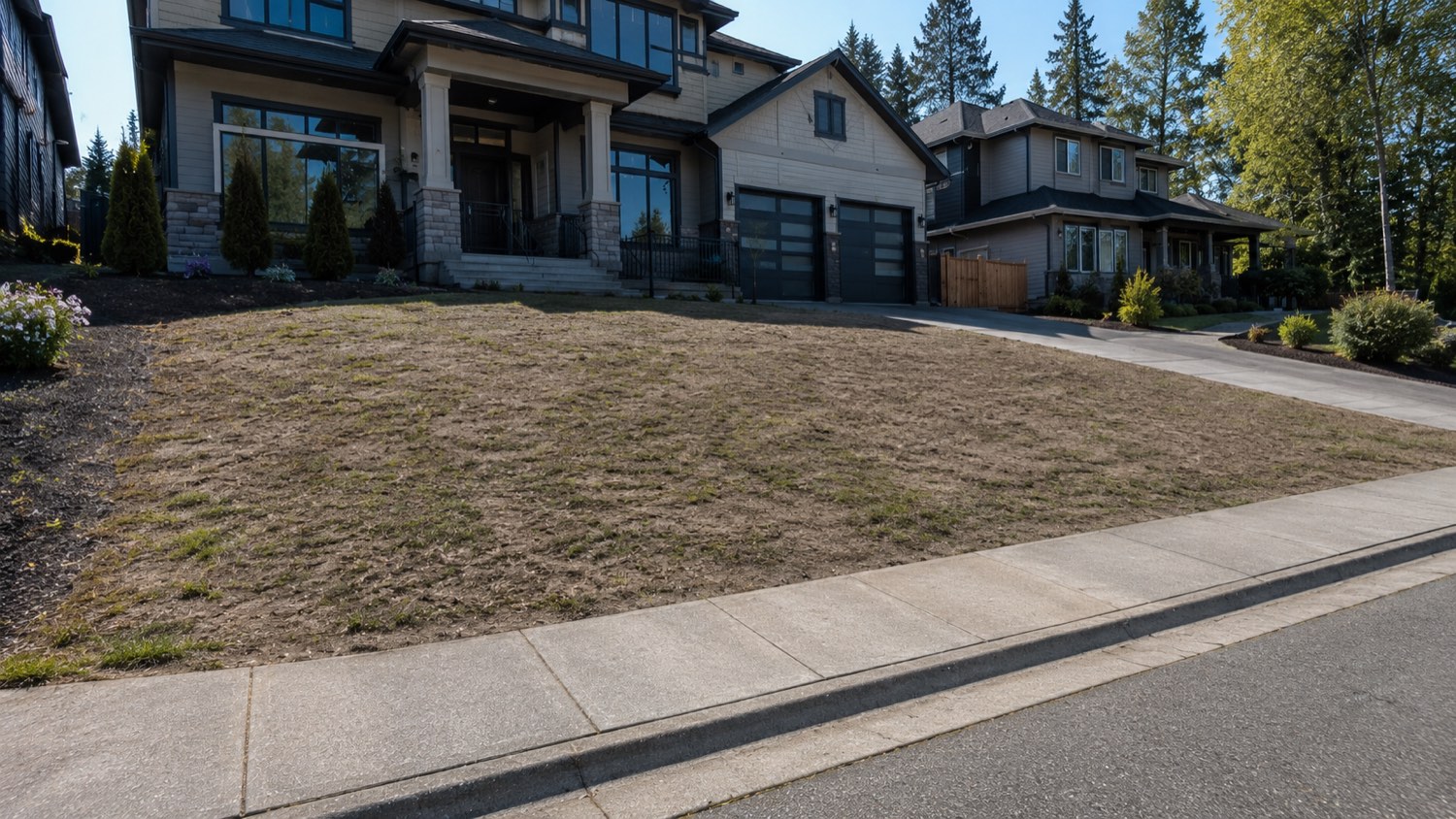 Bare patchy lawn before hydroseeding